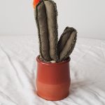 Modelo Cactus Artesanal 02-05