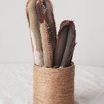 Modelo Cactus Artesanal 02-08