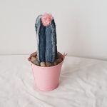 Modelo Cactus Artesanal 01-02