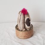 Modelo Cactus Artesanal 01-03