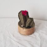 Modelo Cactus Artesanal 01-04