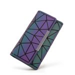 Modelo Cartera Larga Luminosa 03-01