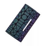 Modelo Cartera Larga Luminosa 03-03