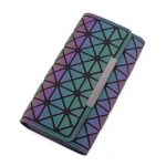 Modelo Cartera Larga Luminosa 03-04
