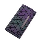 Modelo Cartera Larga Luminosa 03-05