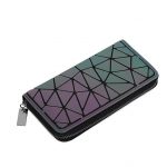 Modelo Cartera Larga Luminosa 02-01