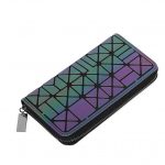 Modelo Cartera Larga Luminosa 02-03