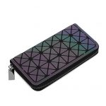 Modelo Cartera Larga Luminosa 02-04