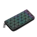 Modelo Cartera Larga Luminosa 02-05