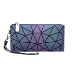 Modelo Cartera Larga Luminosa 01-01